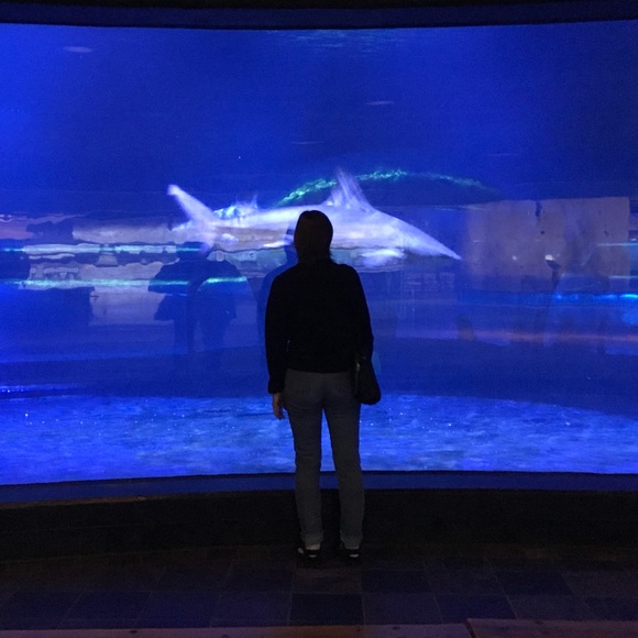 Meet your Posher, Sierra - Picture 10 of 13